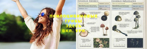 молекула духа Алексеевка