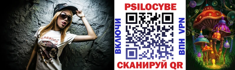 ОМГ ОМГ как войти  Междуреченск  Псилоцибиновые грибы мухоморы 